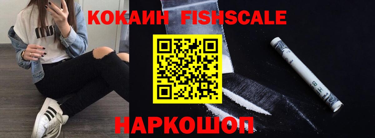 Cocaine FishScale Менделеевск