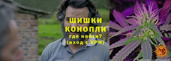 PSILOCYBIN Алзамай