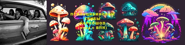 гашик Алексеевка