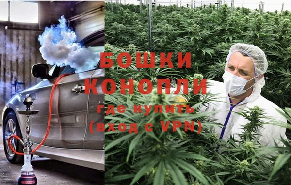 PSILOCYBIN Алзамай