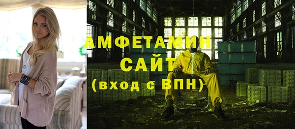 гашик Алексеевка