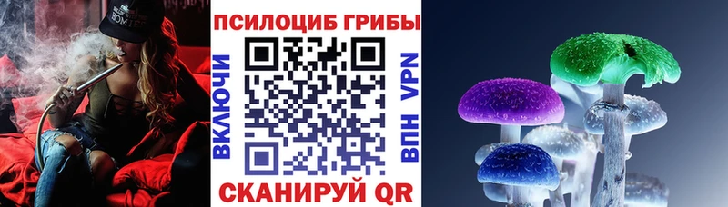 сколько стоит  Менделеевск  Галлюциногенные грибы MAGIC MUSHROOMS 