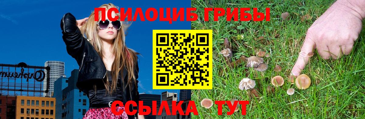Галлюциногенные грибы Psilocybe  сколько стоит  Менделеевск  Вход с VPN  Галлюциногенные грибы мухоморы 